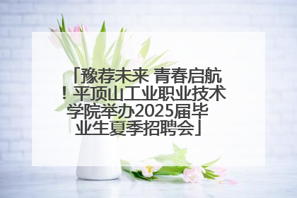 豫荐未来 青春启航！平顶山工业职业技术学院举办2025届毕业生夏季招聘会
