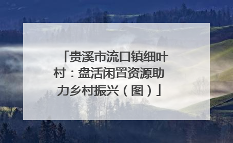贵溪市流口镇细叶村：盘活闲置资源助力乡村振兴（图）