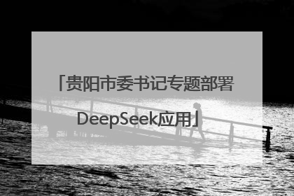 贵阳市委书记专题部署DeepSeek应用