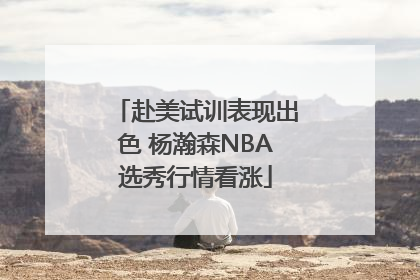 赴美试训表现出色 杨瀚森NBA选秀行情看涨