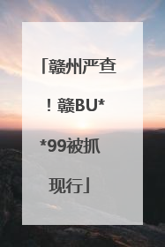 赣州严查！赣BU**99被抓现行