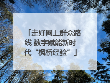 走好网上群众路线 数字赋能新时代“枫桥经验”