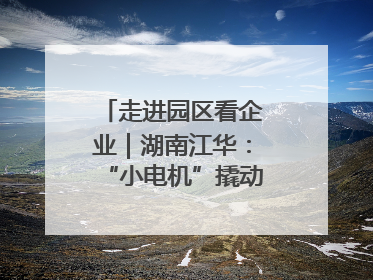 走进园区看企业｜湖南江华：“小电机”撬动“大产业”