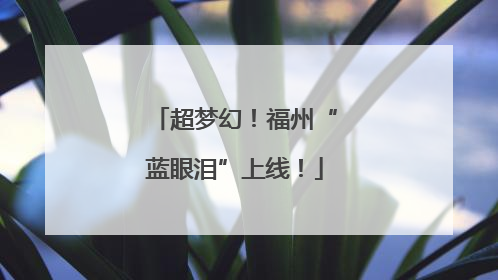 超梦幻！福州“蓝眼泪”上线！