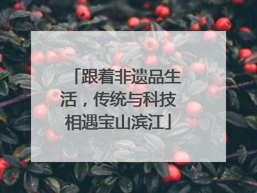 跟着非遗品生活，传统与科技相遇宝山滨江