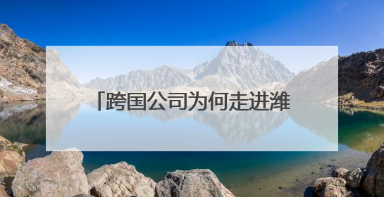 跨国公司为何走进潍坊？从跨国公司合作对接会看潍坊引力