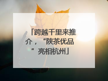 跨越千里来推介，“陕茶优品”亮相杭州