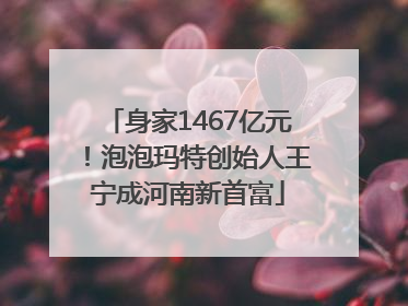 身家1467亿元！泡泡玛特创始人王宁成河南新首富