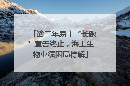 逾三年易主“长跑”宣告终止，海王生物业绩困局待解