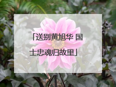 送别黄旭华 国士忠魂归故里
