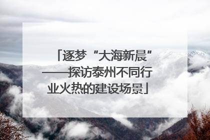 逐梦“大海新晨”——探访泰州不同行业火热的建设场景