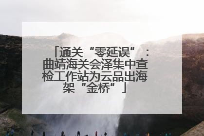 通关“零延误”：曲靖海关会泽集中查检工作站为云品出海架“金桥”