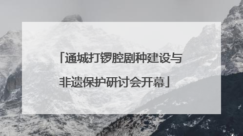 通城打锣腔剧种建设与非遗保护研讨会开幕