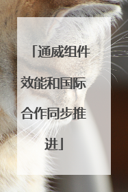通威组件效能和国际合作同步推进
