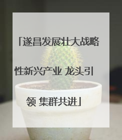 遂昌发展壮大战略性新兴产业 龙头引领 集群共进