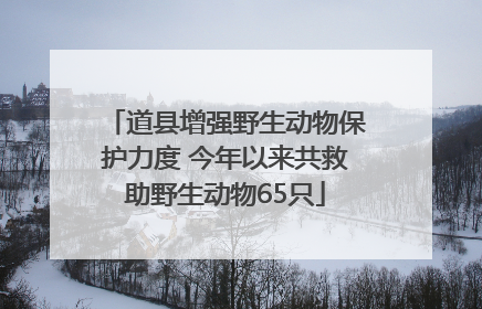 道县增强野生动物保护力度 今年以来共救助野生动物65只