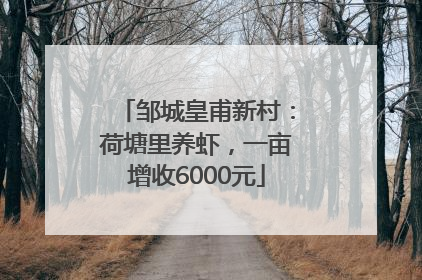 邹城皇甫新村：荷塘里养虾，一亩增收6000元