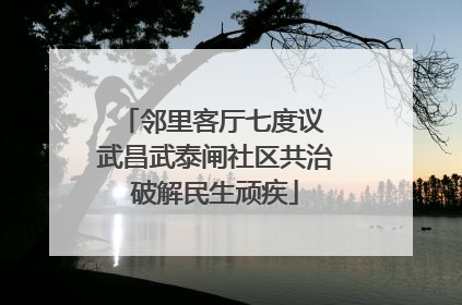 邻里客厅七度议 武昌武泰闸社区共治破解民生顽疾