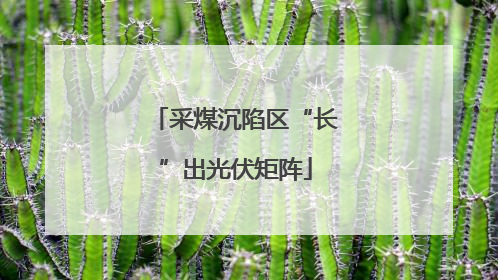 采煤沉陷区“长”出光伏矩阵