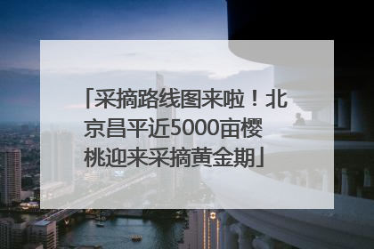 采摘路线图来啦！北京昌平近5000亩樱桃迎来采摘黄金期