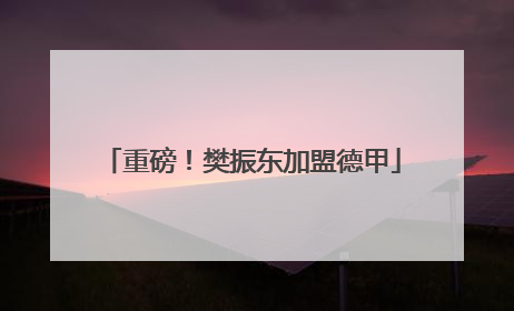重磅！樊振东加盟德甲