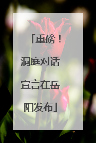 重磅！洞庭对话宣言在岳阳发布