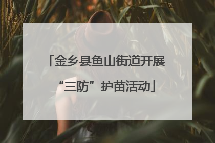 金乡县鱼山街道开展“三防”护苗活动
