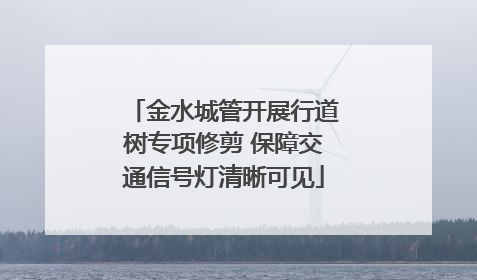 金水城管开展行道树专项修剪 保障交通信号灯清晰可见