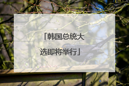 韩国总统大选即将举行