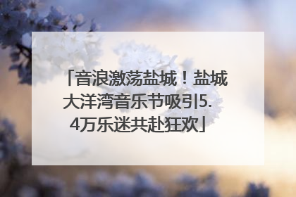 音浪激荡盐城！盐城大洋湾音乐节吸引5.4万乐迷共赴狂欢