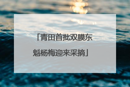青田首批双膜东魁杨梅迎来采摘