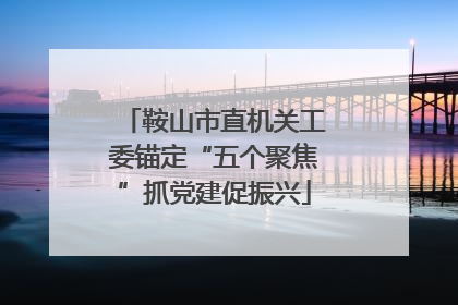 鞍山市直机关工委锚定“五个聚焦”抓党建促振兴