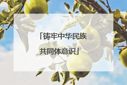 铸牢中华民族共同体意识