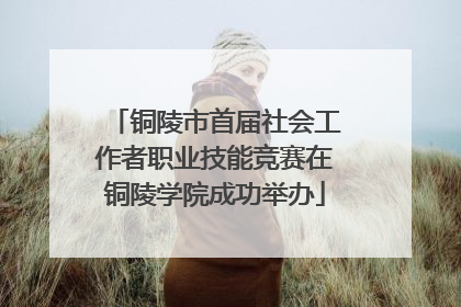 铜陵市首届社会工作者职业技能竞赛在铜陵学院成功举办