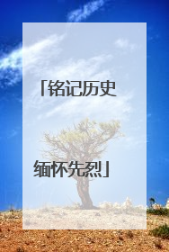 铭记历史 缅怀先烈