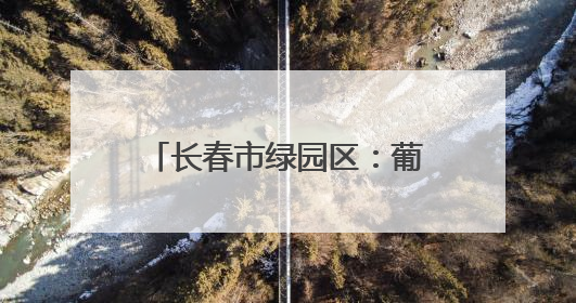 长春市绿园区：葡萄园里绿意浓 “紫色经济”焕新枝