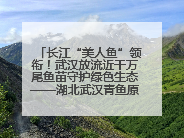 长江“美人鱼”领衔！武汉放流近千万尾鱼苗守护绿色生态——湖北武汉青鱼原种场参加2025年“全国放鱼日”增殖放流活动