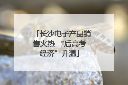长沙电子产品销售火热 “后高考经济”升温