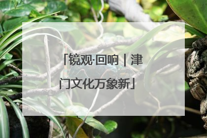 镜观·回响｜津门文化万象新