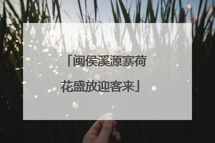 闽侯溪源寨荷花盛放迎客来