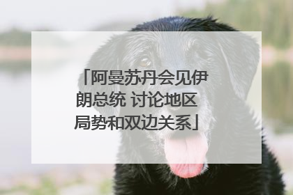 阿曼苏丹会见伊朗总统 讨论地区局势和双边关系