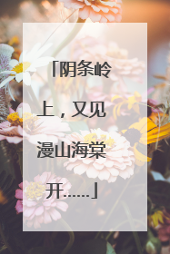 阴条岭上，又见漫山海棠开……