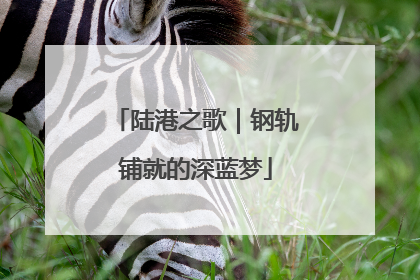 陆港之歌｜钢轨铺就的深蓝梦