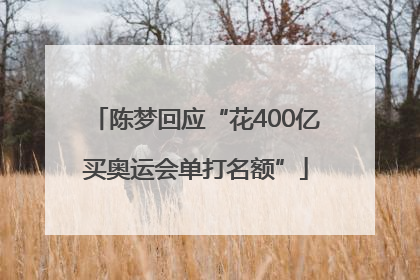 陈梦回应“花400亿买奥运会单打名额”