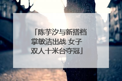 陈芋汐与新搭档掌敏洁出战 女子双人十米台夺冠