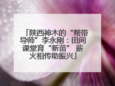 陕西神木的“帮带导师”李永刚：田间课堂育“新苗” 薪火相传助振兴