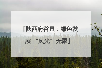 陕西府谷县：绿色发展 “风光”无限