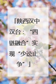 陕西汉中汉台：“四链融合”实现“少讼止争”