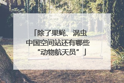 除了果蝇、涡虫 中国空间站还有哪些“动物航天员”