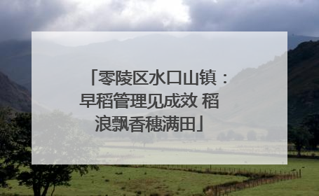 零陵区水口山镇：早稻管理见成效 稻浪飘香穗满田